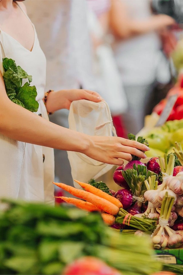 Expertos en educación nutricional profesional